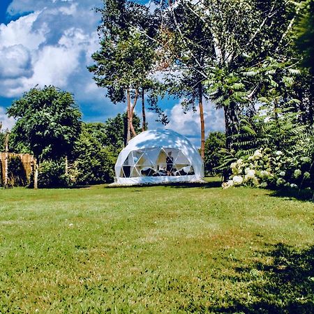 B Our Guest At Your Cozy Hideaway Dome Near Dresden Frauendorf  ภายนอก รูปภาพ
